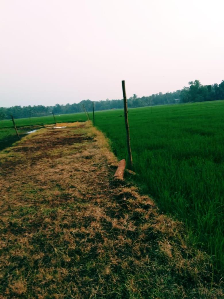 Thomman'S Farm Stay Kottayam Exterior foto